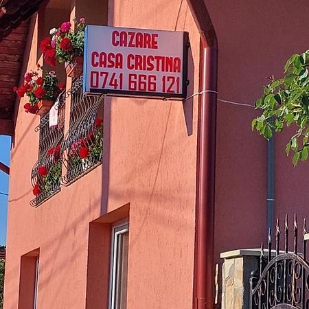 Casa Cristina Hotel Cartisoara Luaran gambar