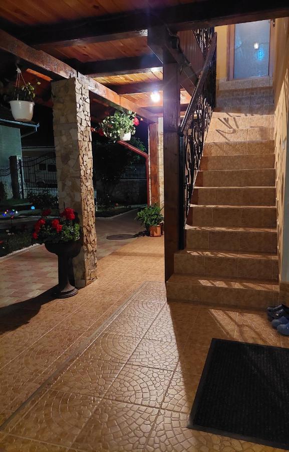 Casa Cristina Hotel Cartisoara Luaran gambar