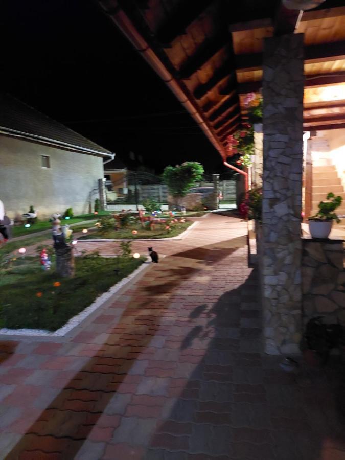 Casa Cristina Hotel Cartisoara Luaran gambar