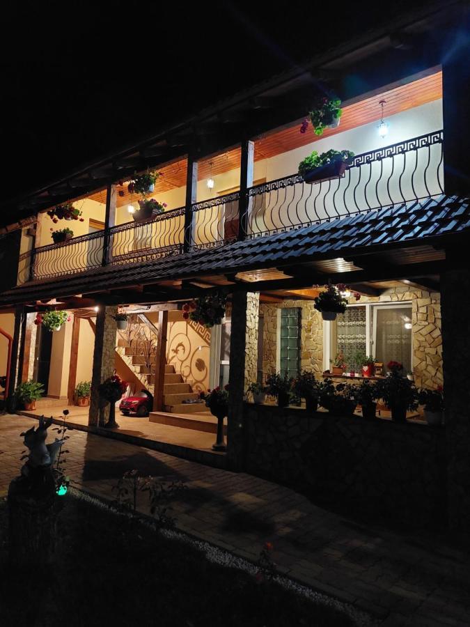 Casa Cristina Hotel Cartisoara Luaran gambar