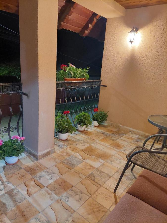 Casa Cristina Hotel Cartisoara Luaran gambar
