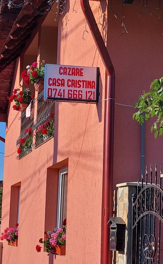 Casa Cristina Hotel Cartisoara Luaran gambar