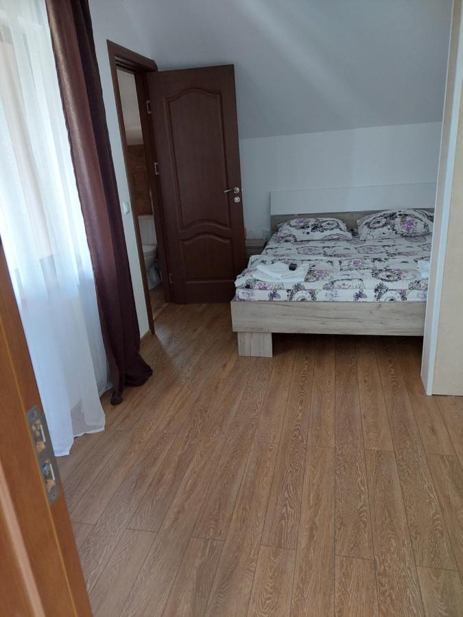 Casa Cristina Hotel Cartisoara Luaran gambar