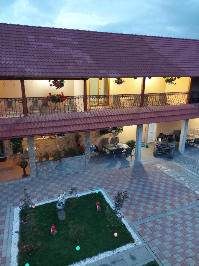 Casa Cristina Hotel Cartisoara Luaran gambar