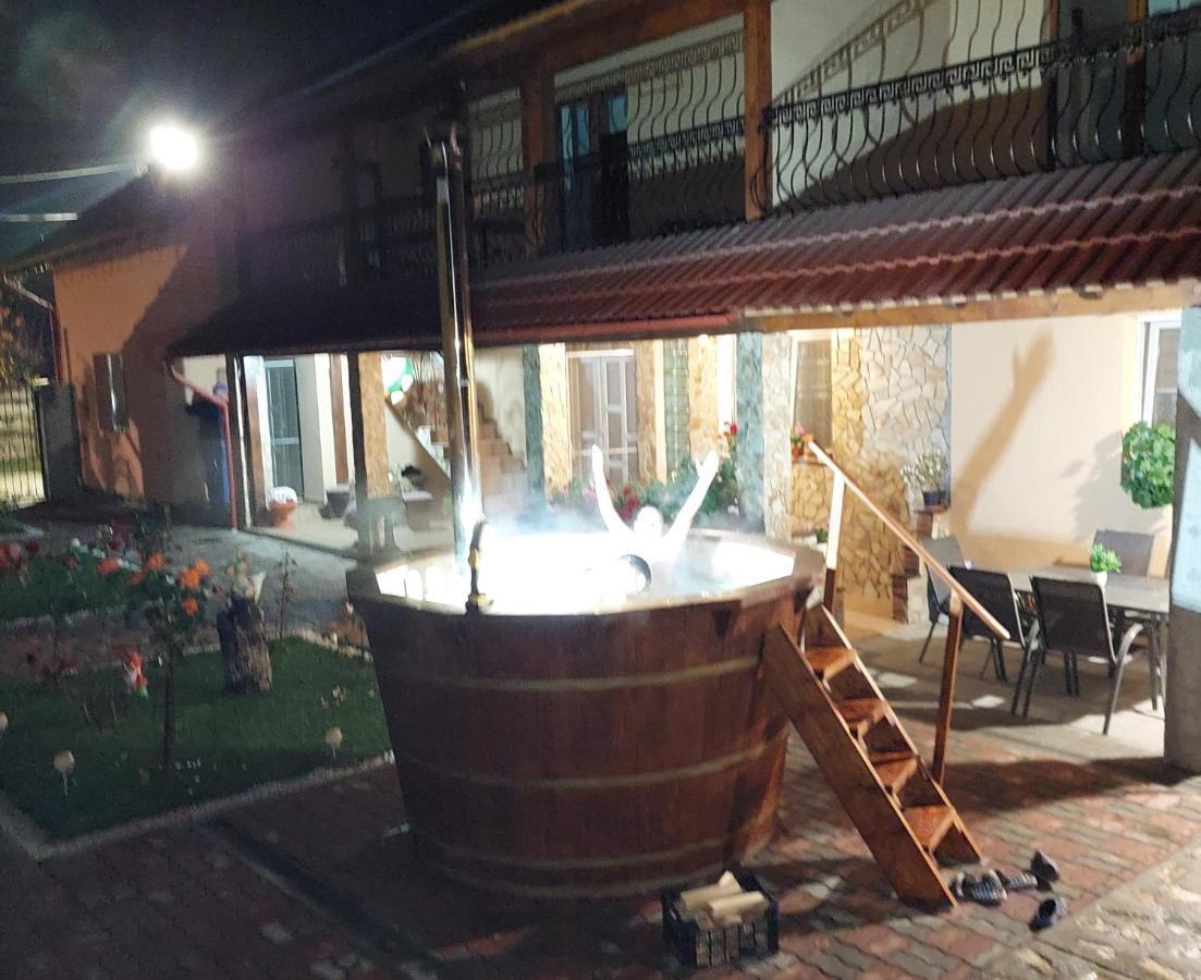 Casa Cristina Hotel Cartisoara Luaran gambar