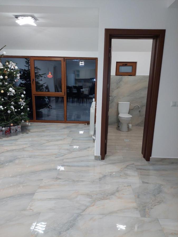 Casa Cristina Hotel Cartisoara Luaran gambar