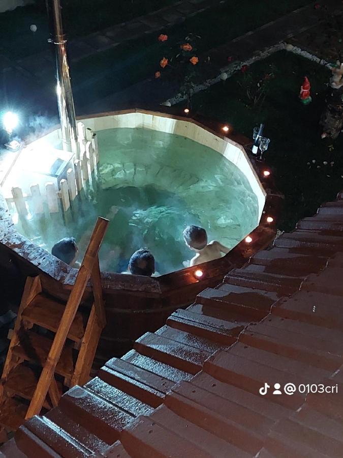 Casa Cristina Hotel Cartisoara Luaran gambar
