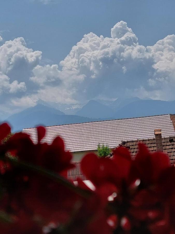 Casa Cristina Hotel Cartisoara Luaran gambar