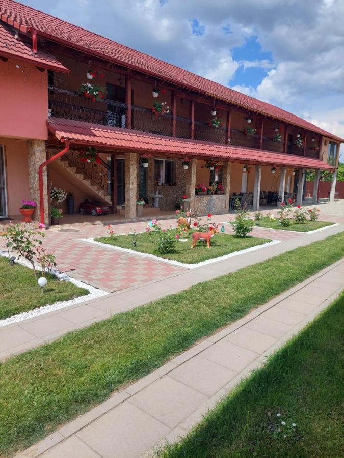 Casa Cristina Hotel Cartisoara Luaran gambar