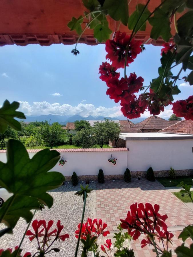 Casa Cristina Hotel Cartisoara Luaran gambar