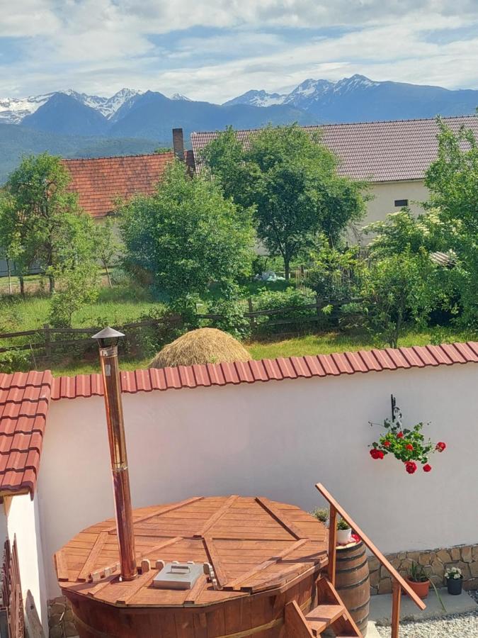 Casa Cristina Hotel Cartisoara Luaran gambar