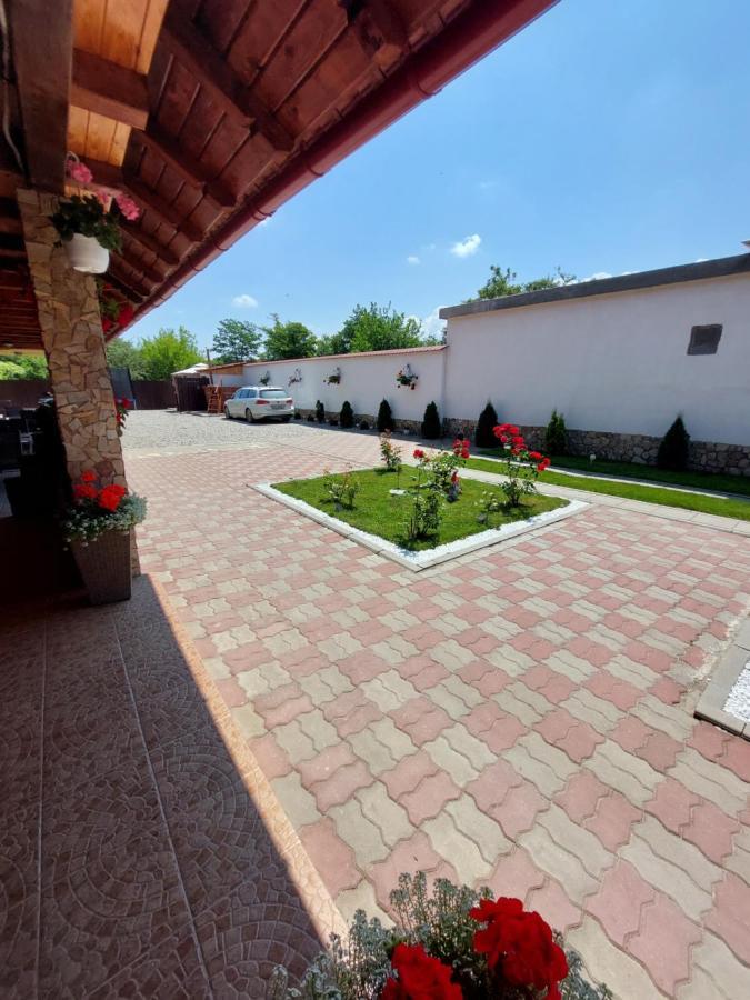 Casa Cristina Hotel Cartisoara Luaran gambar