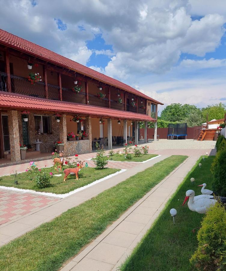 Casa Cristina Hotel Cartisoara Luaran gambar