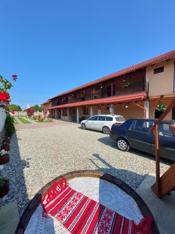 Casa Cristina Hotel Cartisoara Luaran gambar