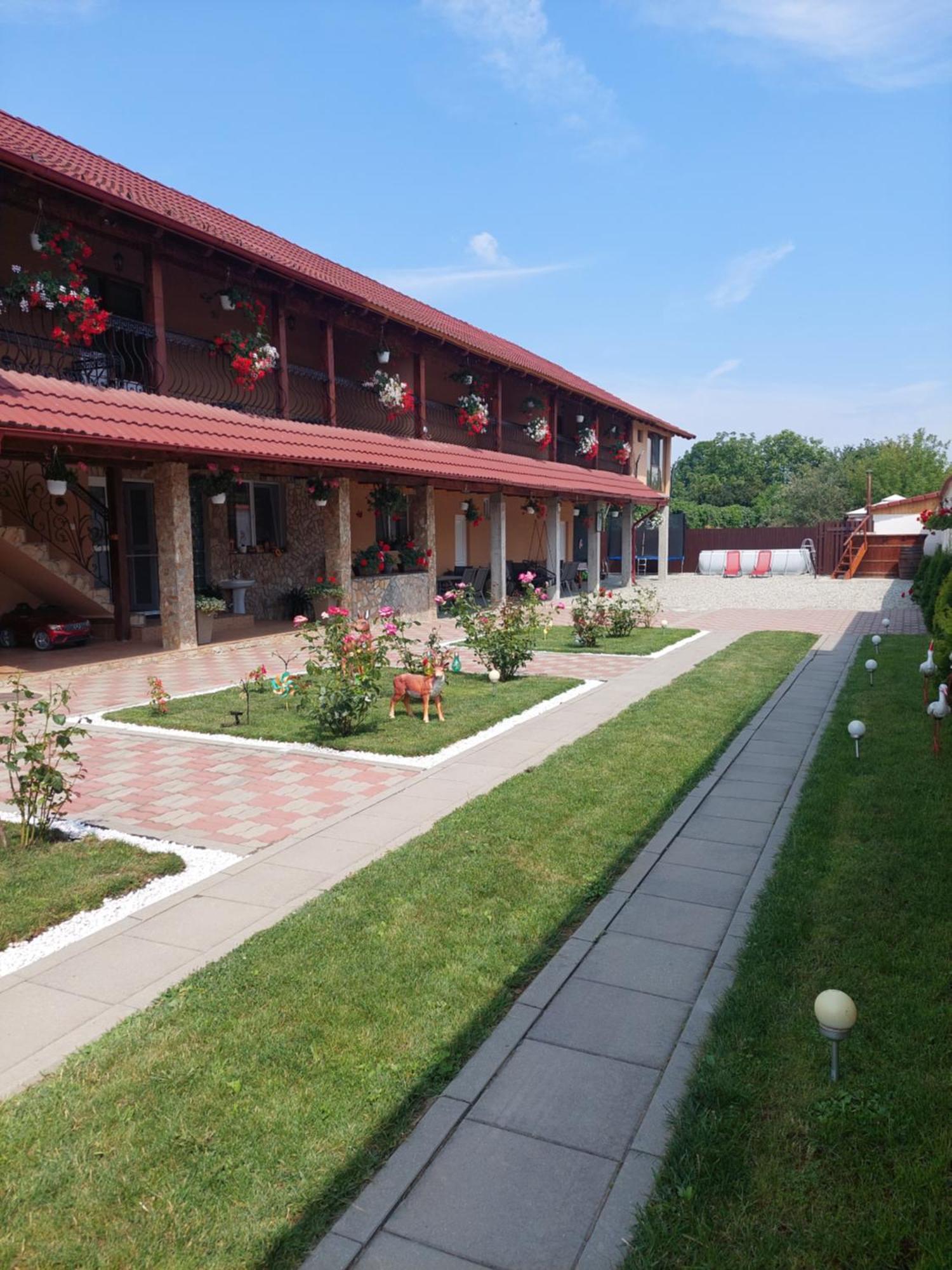 Casa Cristina Hotel Cartisoara Luaran gambar