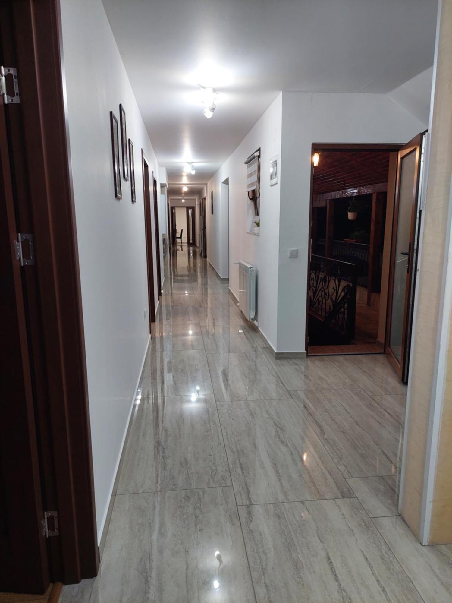 Casa Cristina Hotel Cartisoara Luaran gambar